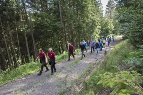 Bei einer Wanderung mit dem Forstamt Kaiserslautern entdeckten die Teilnehmer am Freitag den Mühlenwald in Schopp. 
