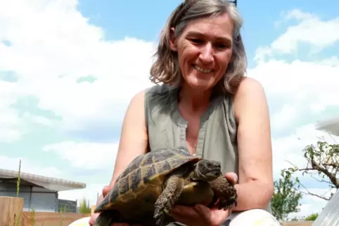 Schildkröten waren die ersten Bewohner im Tierparadies von Anette Leonhardt in Höhfröschen.