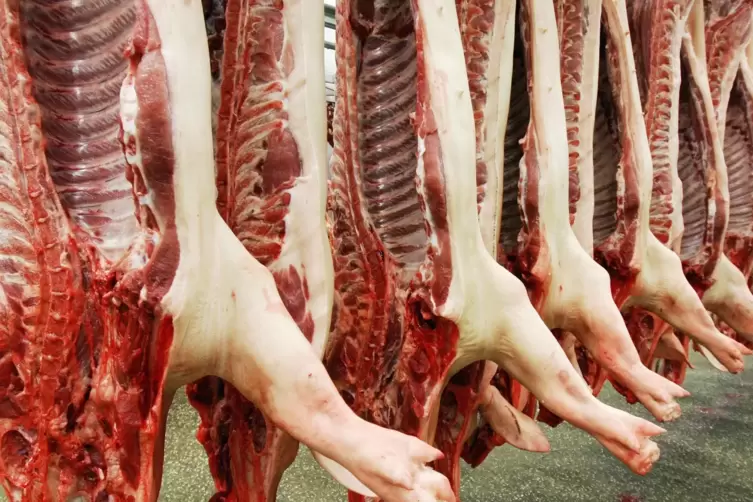 Schweinehälften hängen in einem Schlachthof.