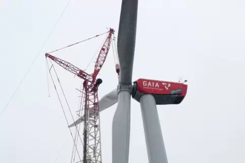 Bei Lambsheim steht diese Windkraftanlage der Firma Gaia. Die Stadt Frankenthal hat für solche Anlagen keine Flächen ausgewiesen