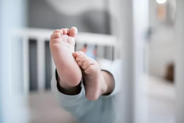 Im vergangenen Jahr kamen in Frankenthal 355 Kinder auf die Welt.