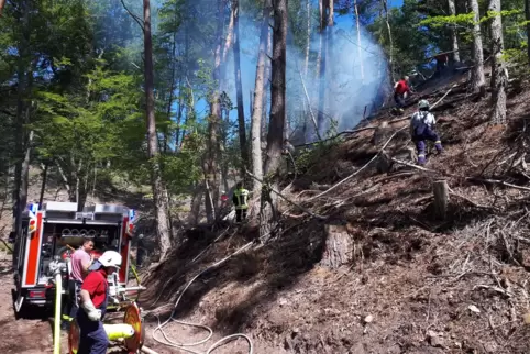 Die Rauchsäule im Schwarzbachtal war schon von Weitem zu sehen. 