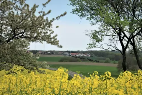 Rosenkopf (Foto) ist neben Groß- und Kleinsteinhausen, Battweiler und Kleinbundenbach eins von fünf Dörfern die die Studentin in
