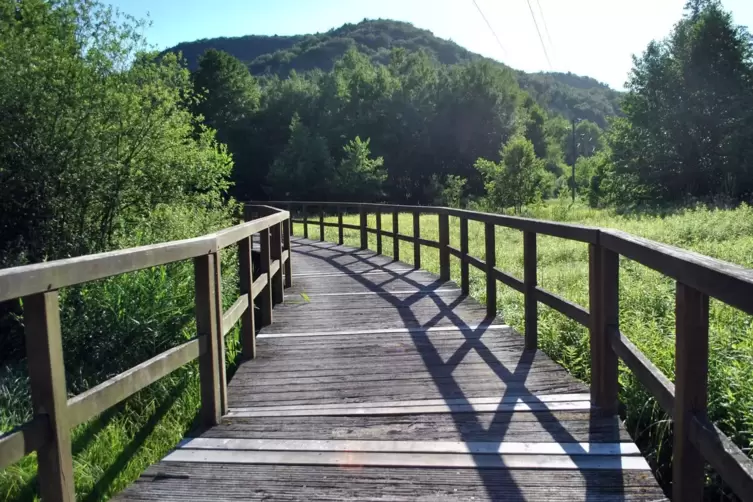 Über mehrere hundert Meter führt diese Holzbrücke durch das Naturschutzgebiet Königsbruch zwischen Fischbach und Schönau. In den