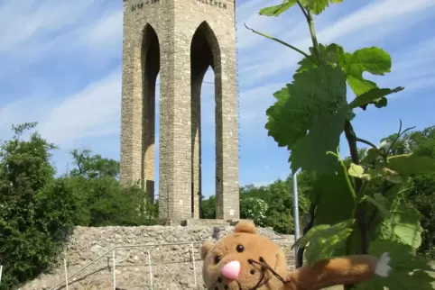 Nils grüßt vom Zellertaler Ehrenmal, das mitten in den Weinbergen liegt.