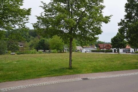 Auf diesem kommunalen Grundstück in Bruchweiler könnte ein Ärztehaus entstehen. So hat es der Verbandsbürgermeister vorgeschlage