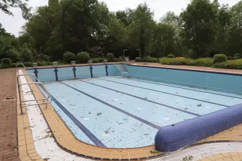 Am 6. Juli startet das Ingenheimer Freibad in die Saison.