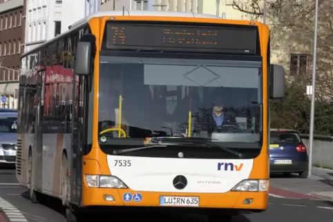 Nach dem Wasserrohrbruch in Edigheim müssen mehrere Busse umgeleitet werden.