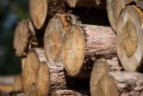 Holzkäufe mit einem Gesamtwert von rund einer Milliarde Euro wurden bei der Schadenersatzklage gegen das Land Rheinland-Pfalz be