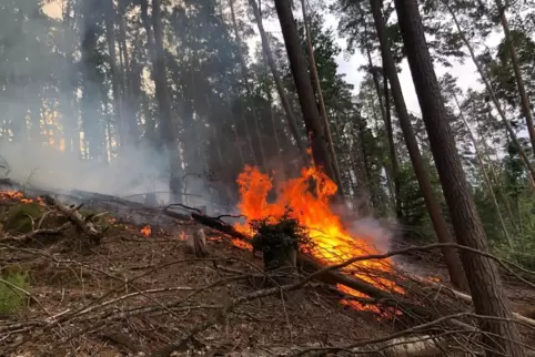 Der steile Hang im Schwarzbachtal erschwerte das Löschen des Feuers. 