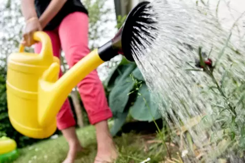 Beim Bewässern des Gartens floss in den vergangenen Monaten viel Wasser. 