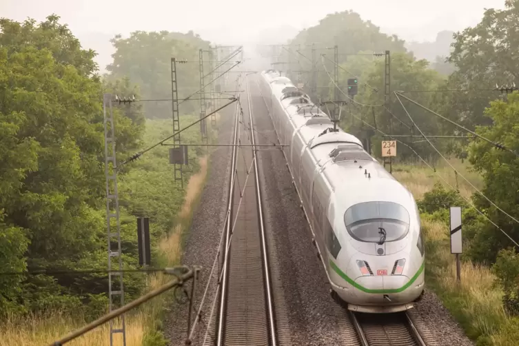 Auf den wichtigsten ICE-Strecken sollen künftig Züge im Halbstundentakt fahren. Dazu gehört auch die Linie von Mannheim nach Bas