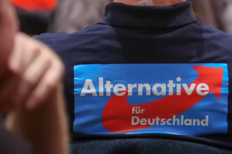 In Neuwied paktiert ein CDU- Mann mit der AfD, um einen umstrittenen SPD-Bürgermeister abwählen zu können. 