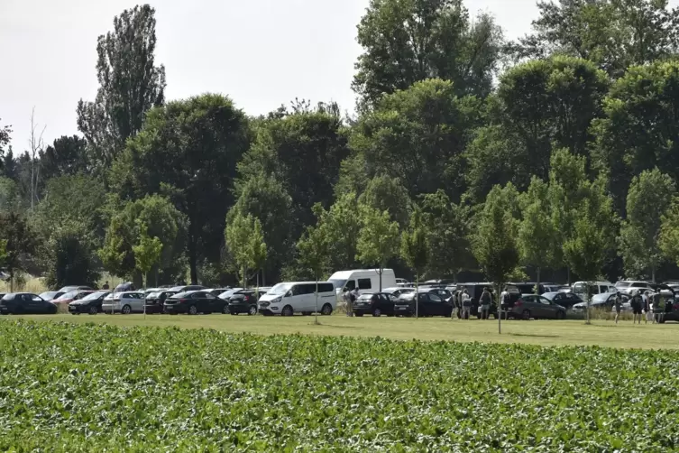 Wenn auf dem Silberseeparkplatz alles voll ist, stellen Badeg&auml;ste ihre Autos auf einer nahen Wiese ab. 
