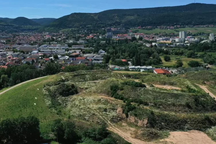 Der höchste Punkt der Altdeponie Haidmühle könnte ein Gartenschau-Aussichtspunkt werden. 