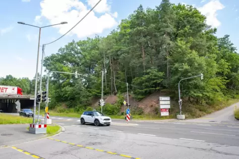 Blick auf die Erbach-Umgehungsstraße L 118 zwischen Homburg und Jägersburg. Hier soll der Trassenvorschlag „Variante 1“ den Zubr