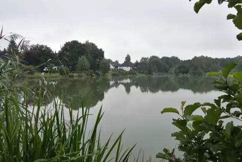 Auch am Waldmohrer Motschweiher soll der Rundweg vorbeiführen. 