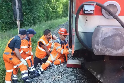 Die Regionalbahn war nach dem Zusammenstoß mit den beiden Tieren im vorderen Bereich aus den Schienen gesprungen. Am Freitag hat