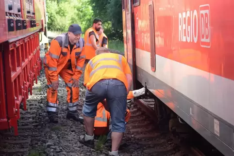 Die Regionalbahn war nach dem Zusammenstoß mit den beiden Tieren im vorderen Bereich aus den Schienen gesprungen. Die Regionalbahn war nach dem Zusammenstoß mit den beiden Tieren im vorderen Bereich aus den Schienen gesprungen.