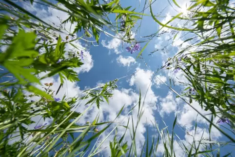 Wolken und Sonne: Zum Wochenbeginn wird es in Rheinland-Pfalz wechselhaft. 