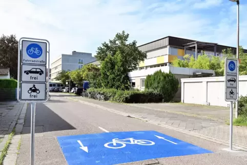 Speyers erste und bisher einzige Fahrradstraße: Abschnitt der Vincentiusstraße am Schwerd-Gymnasium. Speyers erste und bisher einzige Fahrradstraße: Abschnitt der Vincentiusstraße am Schwerd-Gymnasium.