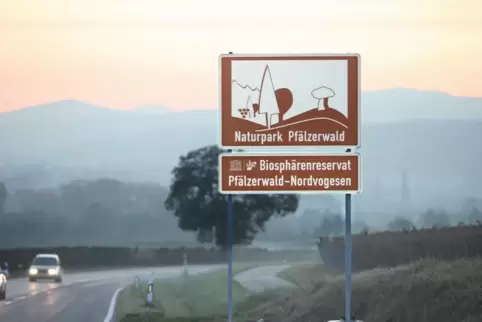 Anziehungspunkt: der Pfälzerwald.