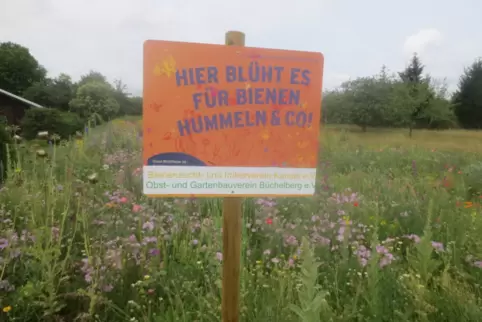 Bienenweide des OGV Büchelberg.
