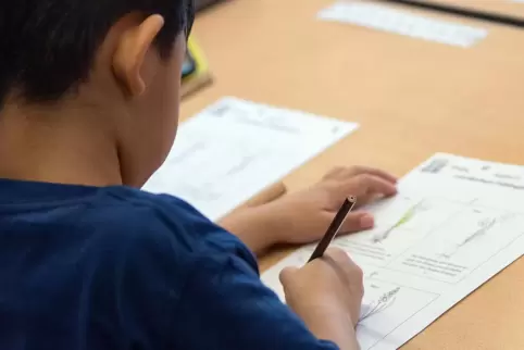 Viel Schulstoff: Die Sommerschule soll helfen, Versäumtes aufzuarbeiten. 