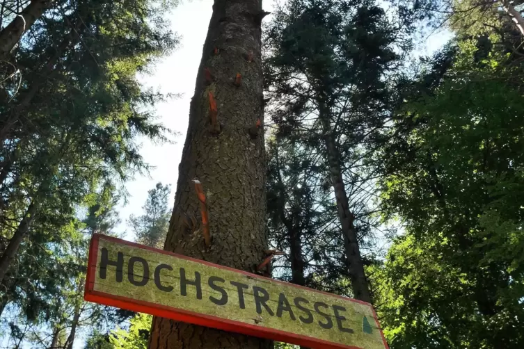 Wegweiser an der Hochstra&szlig;e. 