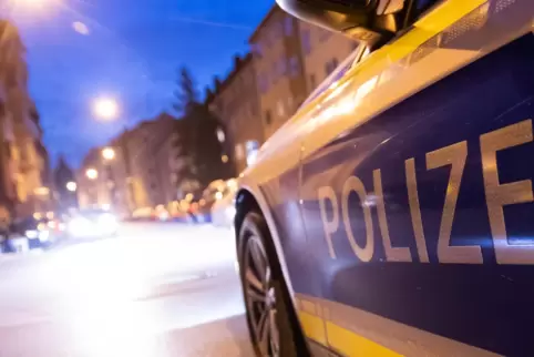 In Harthausen konnte die Polizei die zwei jungen Männer stellen. 