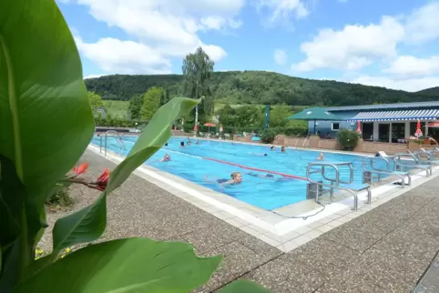 Das Deidesheimer Schwimmbad sollte nach Ansicht der Fachleute auf jeden Fall erhalten und saniert werden.