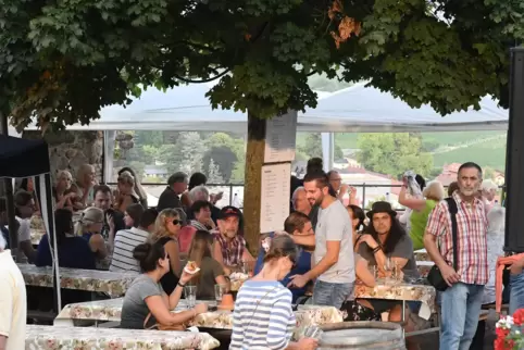 In diesem Jahr wird es kein Burgfest auf der Wachtenburg geben. 