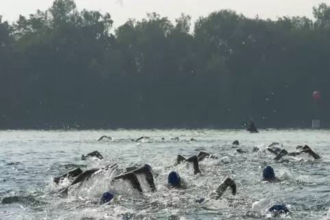 Schwimmer im Rhein, Symbolfoto 