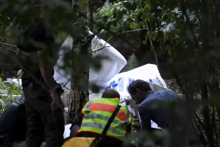 Schwer zugänglich: Das Flugzeug ist in ein Waldstück gestürzt. 