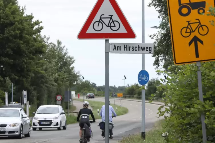 An dieser Stelle möchte die Stadt Landau eine Verkehrsinsel bauen, damit der Fußgänger und Radfahrer die Straße in zwei Schritte