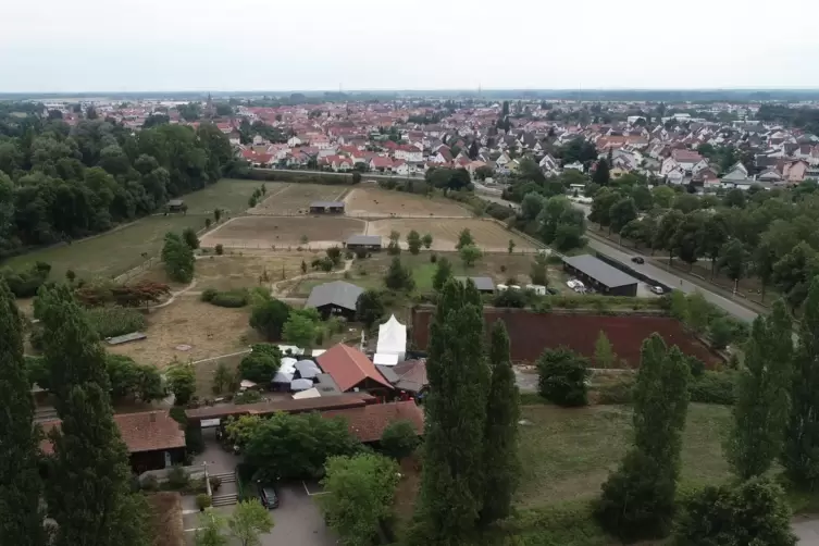 Rund 15 Hektar ist das Gelände der Straußenfarm in Rülzheim groß. Die Flächen sind gepachtet, die Gebäude gehören dem Ehepaar. 