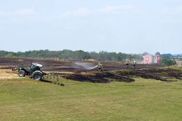 Eine Fläche von zehn Fußballfeldern war in Brand geraten. 