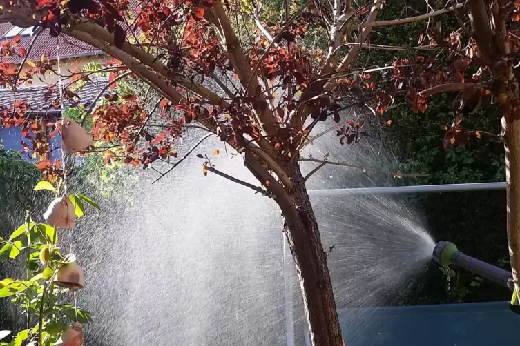 Wasser, Sonne und Garten &ndash; f&uuml;r Helga Petersen ist die Natur das beste Schauspiel. 