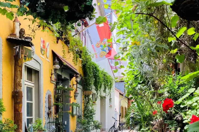Sogar mit Brezelfest-Fahne: bl&uuml;hende G&uuml;nthergasse. 