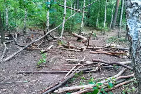 Reste eines Tipis, das Kita-Kinder gebaut hatten: Es stand nur einen Tag, bevor Unbekannte es zerstörten. 
