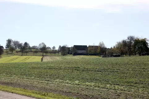 Das Baugebiet entsteht östlich der Kolbengartenstraße. 