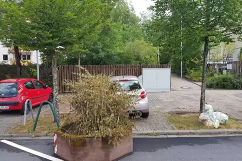 Ein Blumenkübel blockiert die Zufahrt zu einem möglichen Parkplatz.