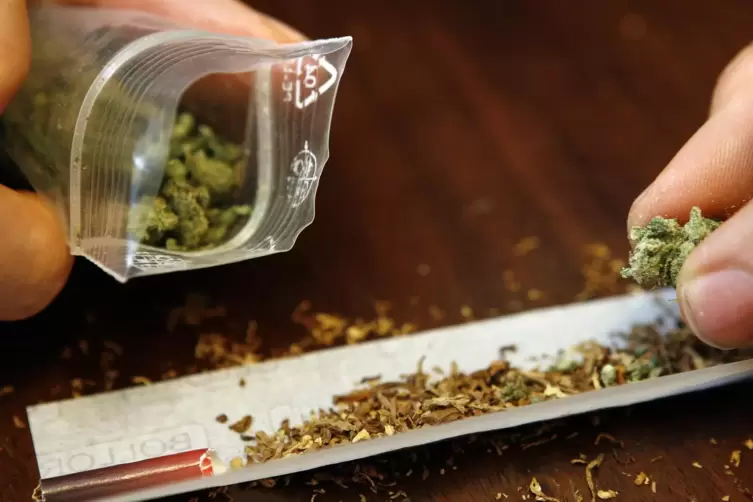 Die Kaiserslauterer Polizei hat am Dienstag in meheren Hausdurchsuchungen unter anderem ein knappes Kilo Marihuana gefunden. 