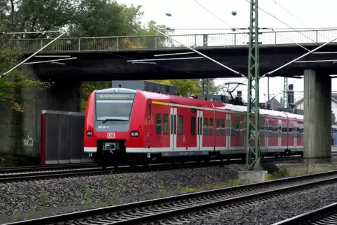 In der S-Bahn zwischen Limburgerhof und Mannheim sorgte der junge Mann für Ärger.