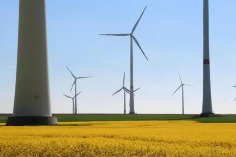 Windräder auf einem blühenden Rapsfeld bei Flonheim in Rheinland-Pfalz. 