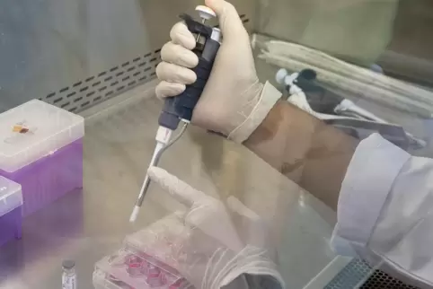 Weltweit wird an einem Impfstoff gegen das Coronavirus geforscht. 