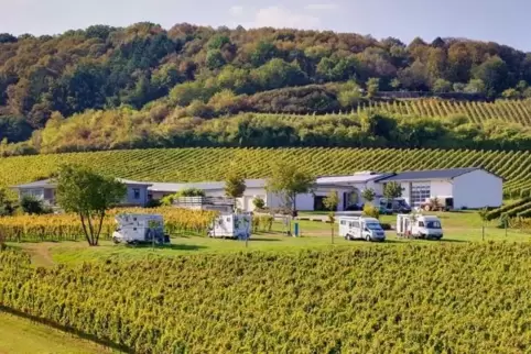 Auch beim Weingut Hitziger in Bad Bergzabern finden Camper ein ruhiges Plätzchen. 