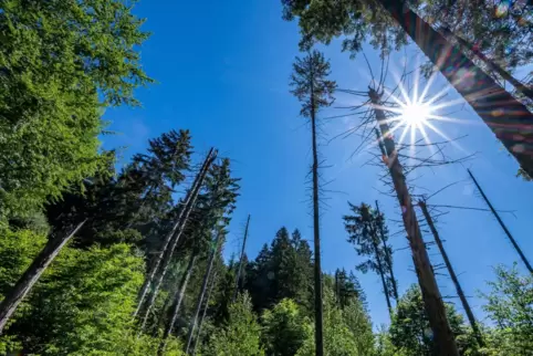 Am Mittwoch erreichen die Temperaturen bis zu 28 Grad. 