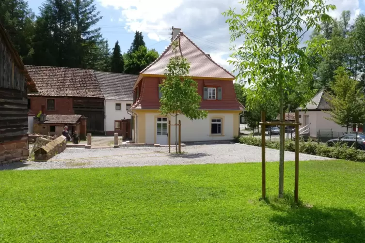 Viele Szenen im Roman spielen im Hof des Hauses von Hedwigs Tante, allerdings steht im Roman im Hof ein Birnbaum. 