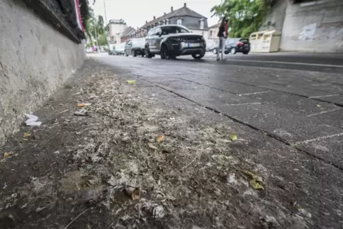 Verdreckt: Bürgersteig unter der Bahnüberführung in der Friedenstraße. 